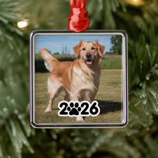 Custom 2026 Pet Photo Metal Ornament (Tree)