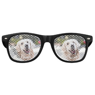 Custom 2 Photo With Your Pet Dog 2 Name Picture On Retro Sunglasses