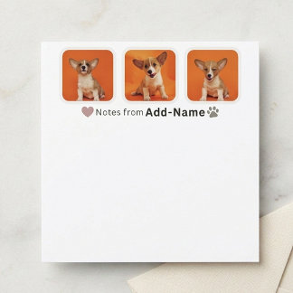 Custom 3 Photo Collage Pet Dog Name Picture On Card