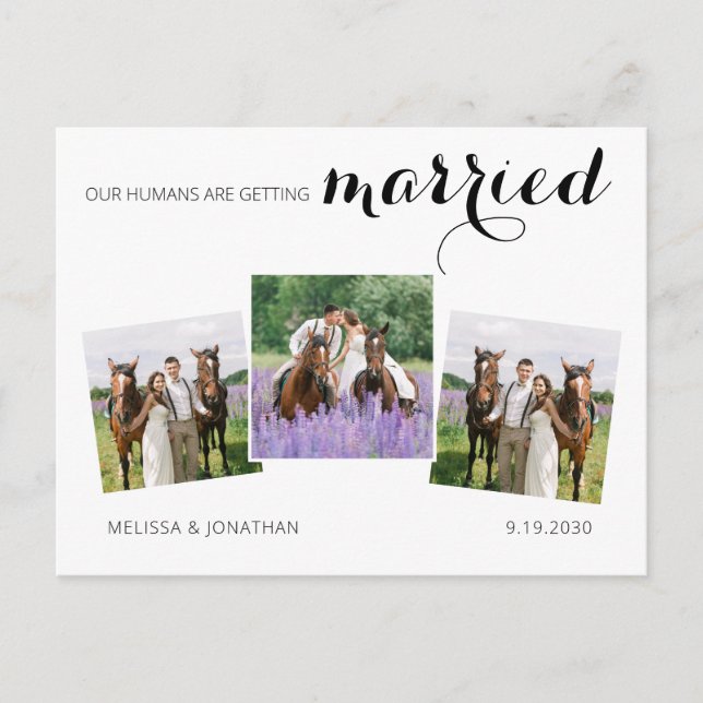 Custom 3 Photo Horse Pet Wedding Save The Date Announcement Postcard (Front)