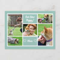 Custom 5 Photo Collage Family Pet Announcement
