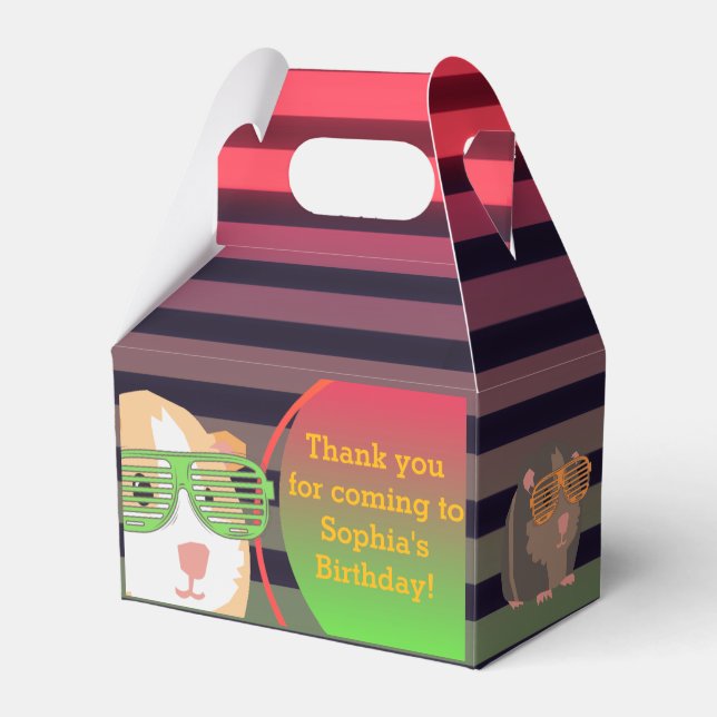 Custom 80's Retro Guinea Pig Throwback  Favour Box (Front Side)