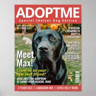 Custom Adopt a Pet Magazine Cover, Animal Shelter Poster