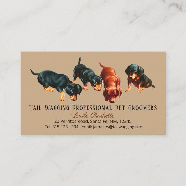Custom Adorable Cute Dachshund Puppy Pet Grooming Business Card (Front)