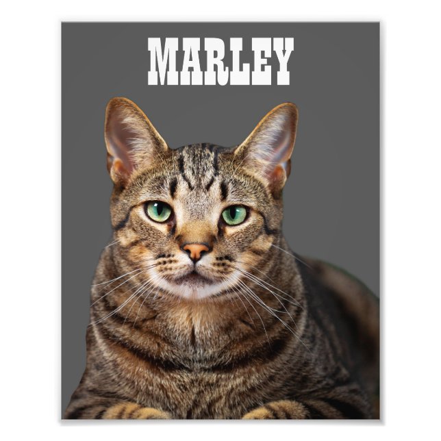 Custom and Personalised Pet Cat Photo Print (Front)