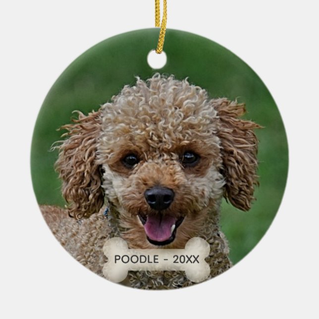 Custom Apricot Poodle Dog Photo Ceramic Ornament (Front)