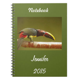 Custom aracari toucan standing on a branch notebook