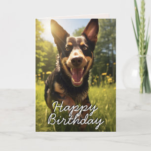 Custom Australian Kelpie Happy Birthday Card