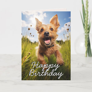 Custom Australian Terrier Happy Birthday Card