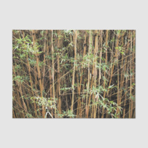 Custom Bamboo Jungle Tissue Paper