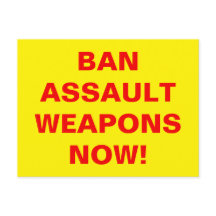 Custom BAN ASSAULT WEAPONS NOW! Pro gun control