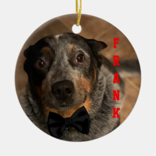 Custom Bandit Ceramic Ornament