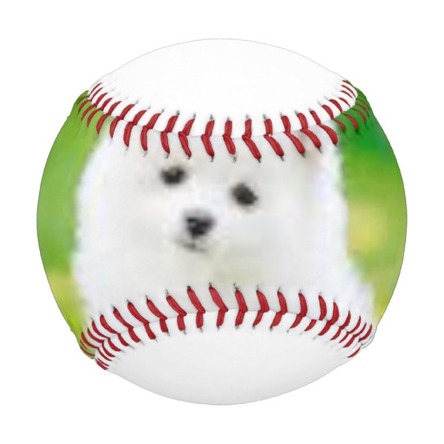 Custom Baseballs (Front)