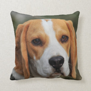 Custom Beagle Dog Photo Cushion