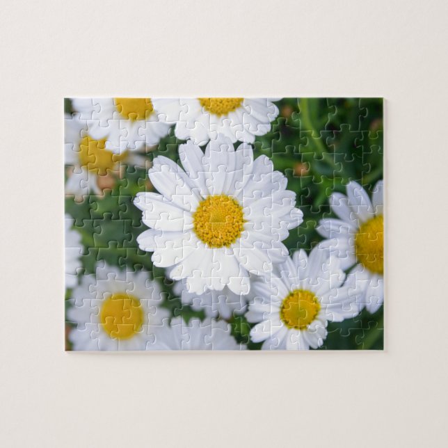 Custom Beautiful Spring Flowers - Daisy Jigsaw Puzzle (Horizontal)