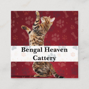 Custom Bengal Heaven Cattery Business Card 