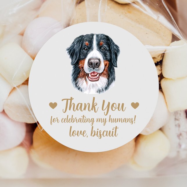 Custom Bernese Mountain Dog Wedding Favour Sticker (Creator Uploaded)