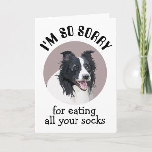 Custom Birthday Card From Your Border Collie