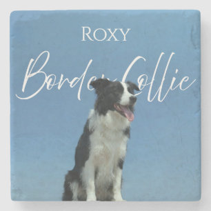 Custom Border Collie Photo Retro Blue Typography Stone Coaster