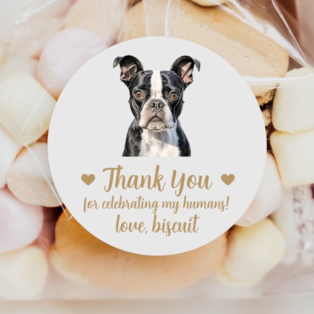 Custom Boston Terrier Wedding Favour Stickers (Creator Uploaded)