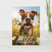 Custom Boxer Happy Birthday Card