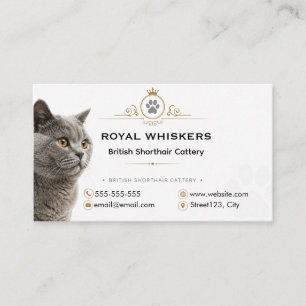 Custom British Shorthair Cattery Business Card