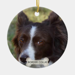 Custom Brown Border Collie Dog Photo Ceramic Ornament