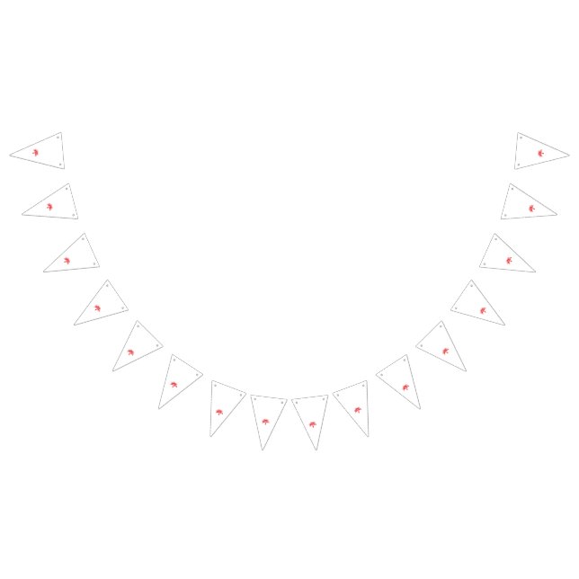 Custom Bunting Flags | Photo & Party Decor (All)