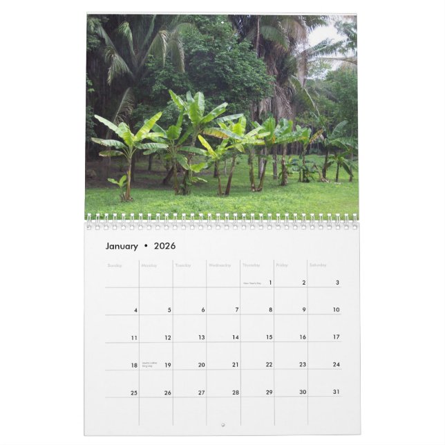 Custom Calendar featuring scenes from Belise. (Jan 2026)