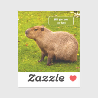 Custom Capybara