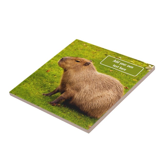 Custom Capybara Ceramic Tile (Side)