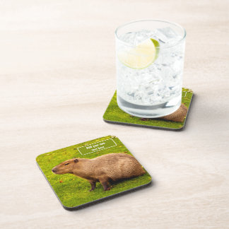 Custom Capybara Coaster