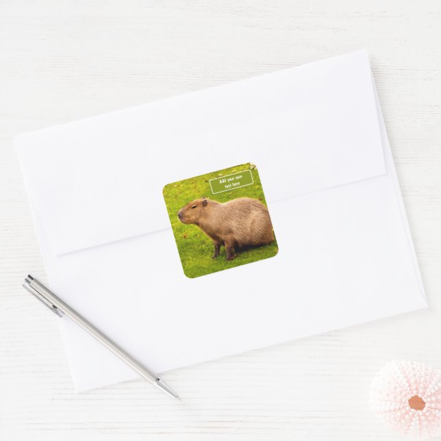 Custom Capybara Square Sticker (Envelope)