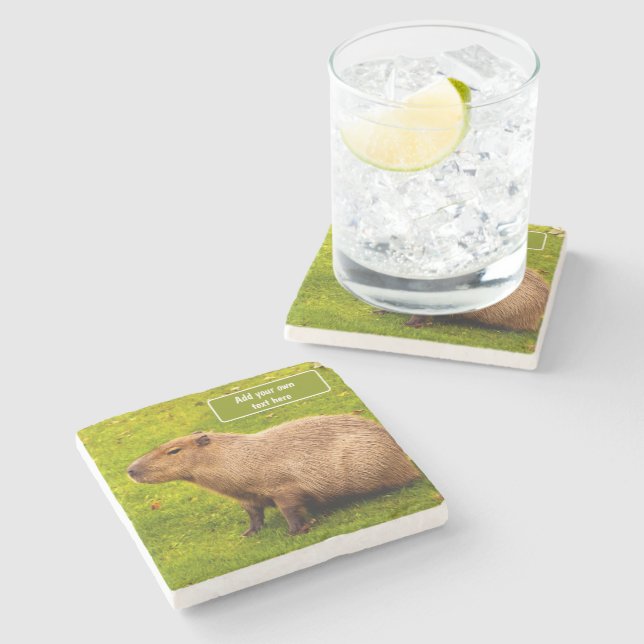 Custom Capybara Stone Coaster (Side)