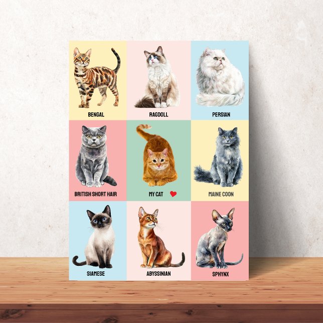 Custom Cat Breed Poster – Add Your Own Cat (Custom Cat Breed Poster – Add Your Own Cat)