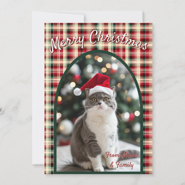 Custom Cat Christmas Holiday Card (Front)