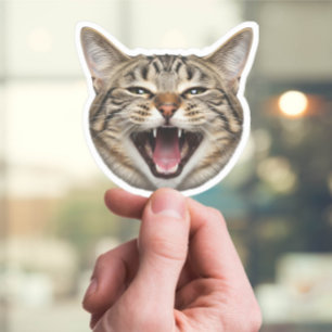 Custom Cat Face Sticker – Funny Personalised Photo