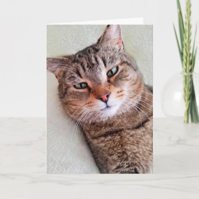 Custom Cat Miss You A Lot Card (Front)