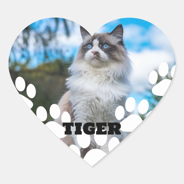 Custom Cat Photo Heart Sticker with Name (Front)