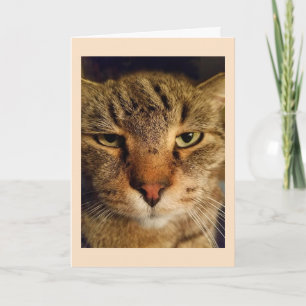 Custom Cat Photo Miss You Card