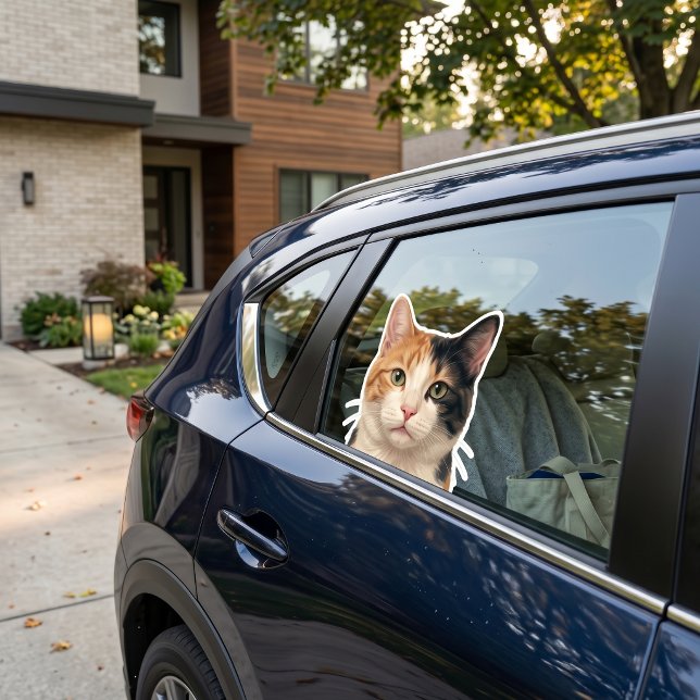 Custom Cat Photo Sticker – Personalised Cat Decal  (Creator Uploaded)