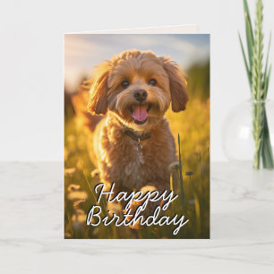 Custom Cavoodle/Cavapoo Happy Birthday Card