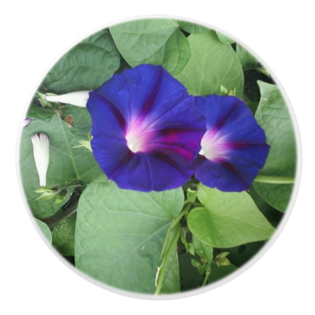 Custom Ceramic Knob with Flowers (Front)