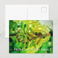 CUSTOM CHIC GREEN LEAFY TROPICAL FERN NEW ZEALAND
