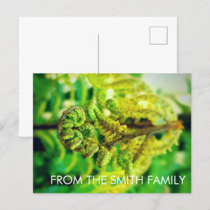 CUSTOM CHIC GREEN LEAFY TROPICAL FERN NEW ZEALAND  POSTCARD