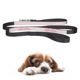Custom Chic Pink White Stars Dog Puppy Doggy Name Pet Lead