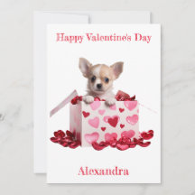Custom Chihuahua Pup Pink Hearts on Box Valentine