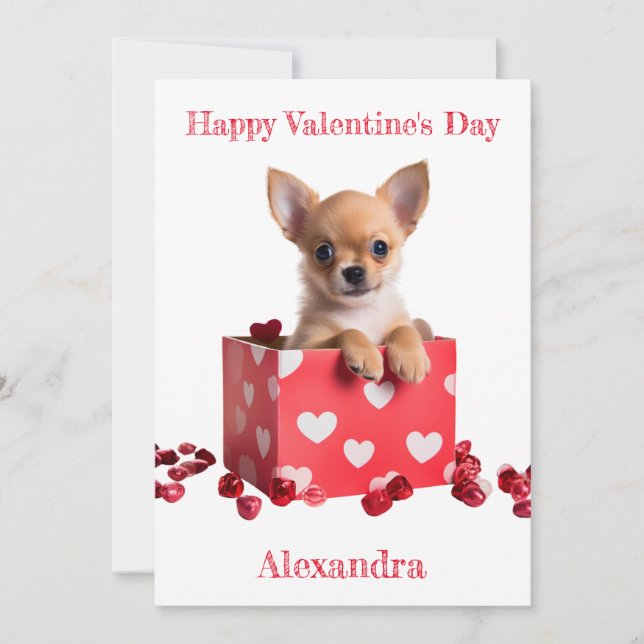 Custom Chihuahua Pup White Hearts on Box Valentine Holiday Card (Front)