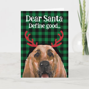 Custom Christmas card from your Bloodhound