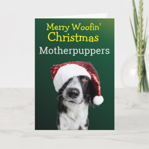 Custom Christmas Card from your Border Collie
